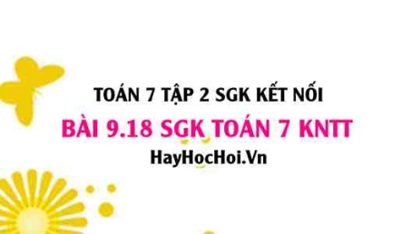 Bài 9.18 SGK Toán 7 Tập 2 Kết nối tri thức